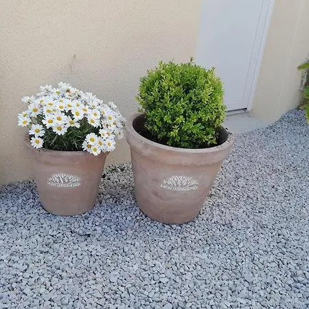 Tante Jeanne Casa vacanze