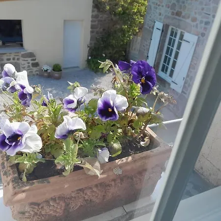 Tante Jeanne Hébergement de vacances