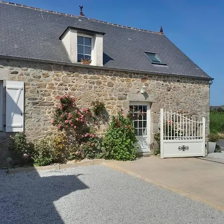 Tante Jeanne 레비르