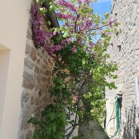 Casa de Férias Tante Jeanne Réville