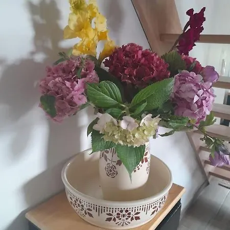 펜션 Tante Jeanne 레비르