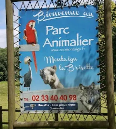 Tante Jeanne 레비르