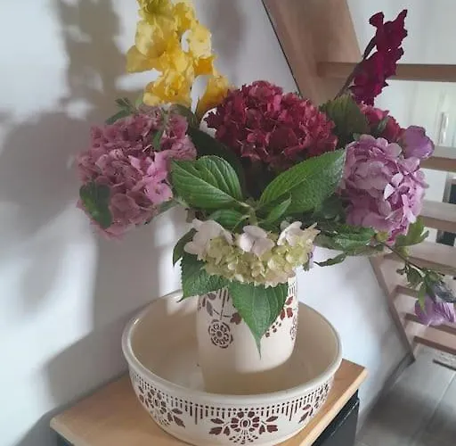 Holiday home Tante Jeanne Reville