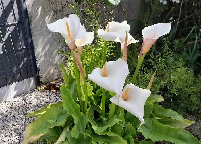 Tante Jeanne Holiday home *