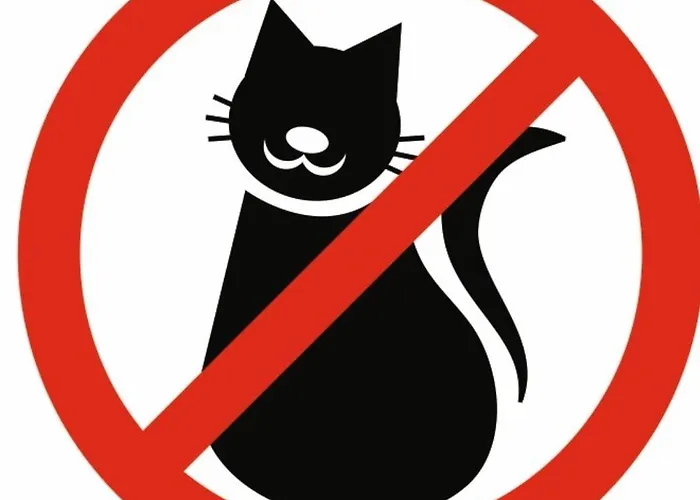 Holiday home Tante Jeanne *